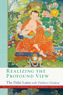 realizing the profound view book cover image