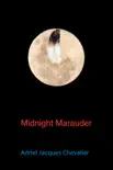 Midnight Marauder synopsis, comments