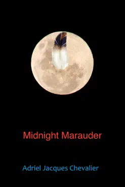 midnight marauder book cover image