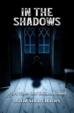 in the shadows book cover image