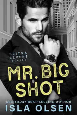mr big shot book cover image