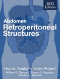 Abdomen: Retroperitoneal Structures e-book
