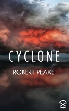 cyclone book cover image