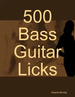 500 bass guitar licks book cover image