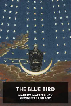 the blue bird book cover image
