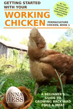 getting started with your working chicken book cover image