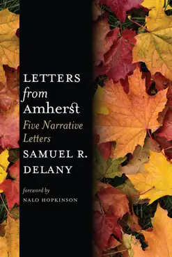 letters from amherst book cover image