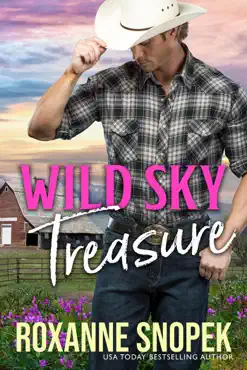 wild sky treasure book cover image