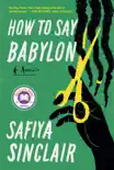How to Say Babylon synopsis, comments