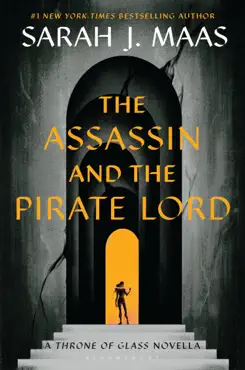 the assassin and the pirate lord book cover image