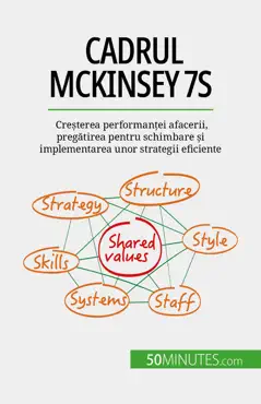 cadrul mckinsey 7s book cover image