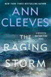The Raging Storm synopsis, comments