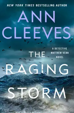 the raging storm book cover image