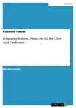 Johannes Brahms, Nänie op. 82 für Chor und Orchester sinopsis y comentarios