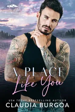 a place like you book cover image