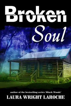 broken soul book cover image