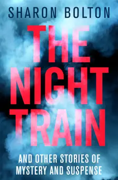 the night train book cover image