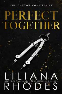 perfect together book cover image