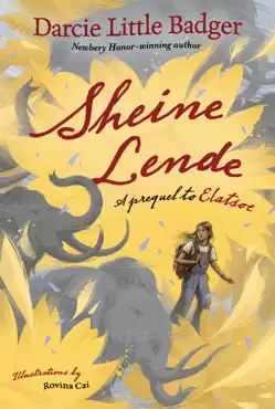 sheine lende book cover image