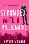 Stranded with a Billionaire synopsis, comments