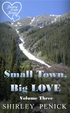 small town, big love - volume three book cover image