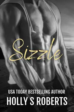sizzle book cover image