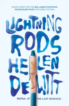 lightning rods imagen de la portada del libro
