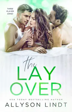 the layover book cover image