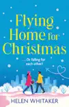 Flying Home for Christmas synopsis, comments
