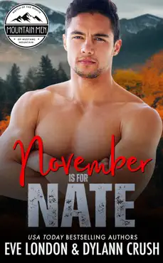 november is for nate book cover image