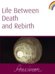 Life Between Death and Rebirth synopsis, comments