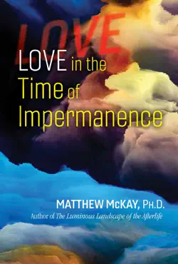 love in the time of impermanence book cover image
