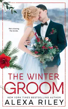 the winter groom book cover image