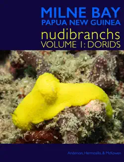 milne bay nudibranchs vol 1 book cover image