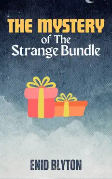 the mystery of the strange bundle book cover image