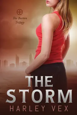 the storm book cover image