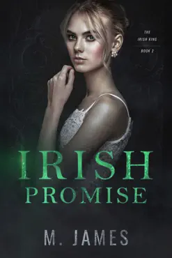 irish promise book cover image
