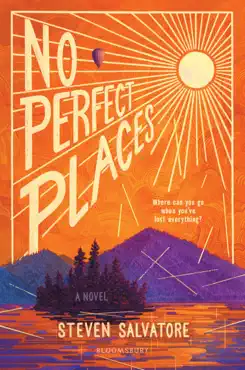 no perfect places book cover image