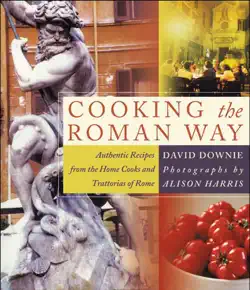 cooking the roman way book cover image