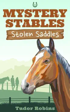 stolen saddles book cover image