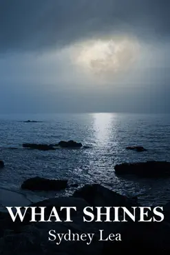 what shines book cover image
