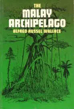 the malay archipelago book cover image