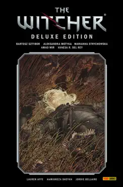 the witcher deluxe-edition, band 2 book cover image