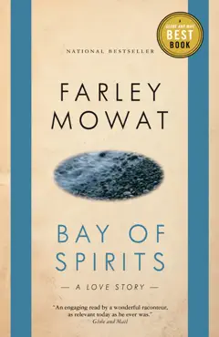 bay of spirits book cover image