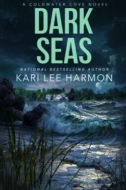dark seas book cover image