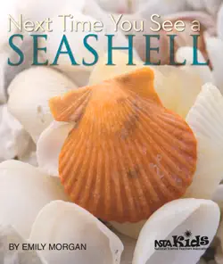 next time you see a seashell book cover image
