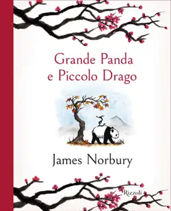 grande panda e piccolo drago book cover image