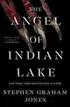 The Angel of Indian Lake synopsis, comments