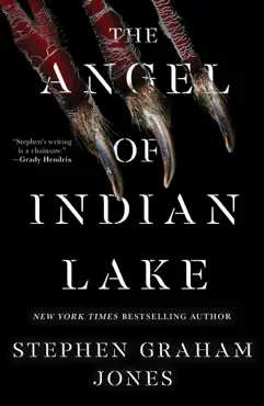 the angel of indian lake book cover image