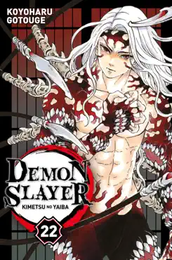 demon slayer t22 book cover image